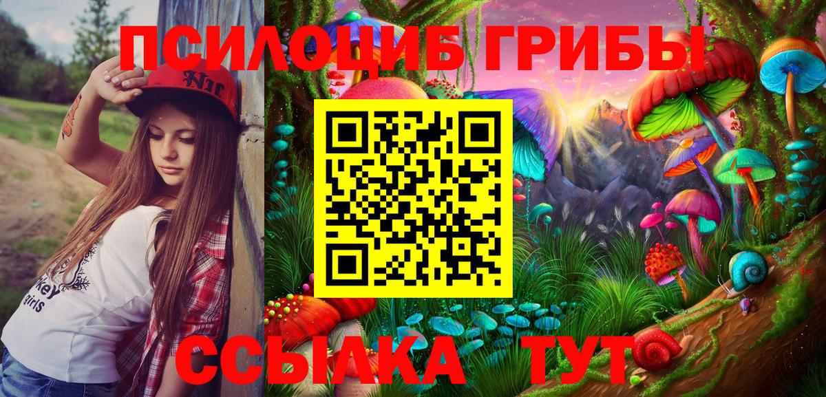 цена наркотик  Вход с VPN  Свободный  Галлюциногенные грибы ЛСД 