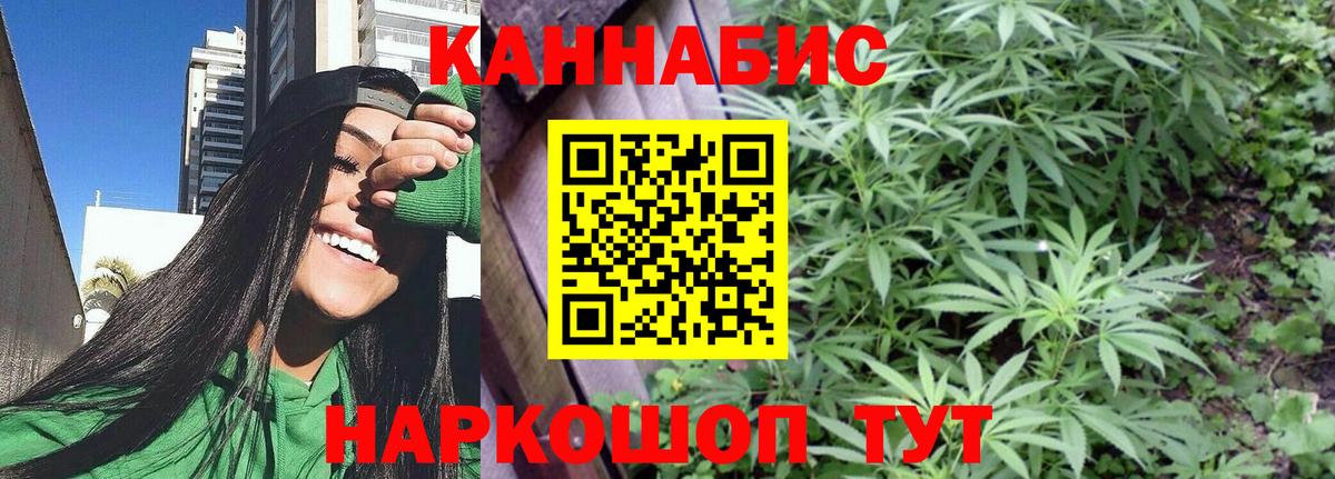 Бошки Шишки конопля Свободный